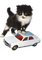 kitten with car - бесплатно png анимированный гифка