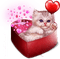 Box Heart Cat red Pink - Bogusia - kostenlos png Animiertes GIF