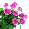 розы - nemokama png animuotas GIF