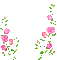 Growing Roses - GIF animate gratis GIF animata