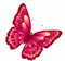 MMarcia gif borboleta papillon - GIF animé gratuit GIF animé