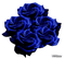 Roses bleues - PNG gratuit GIF animé