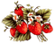 fraises - png gratis GIF animasi