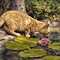 Cat - ücretsiz png animasyonlu GIF