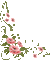 flowers coin frame pink green - Darmowy animowany GIF animowany gif