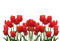 kukka, fleur, flower - png gratuito GIF animata
