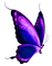 All  my butterflys - png gratis GIF animado