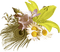 Flowers bp - безплатен png анимиран GIF
