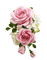 pink roses deco