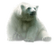 aze ours blanc White - PNG gratuit GIF animé