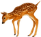 Deer.Brown.White - kostenlos png Animiertes GIF