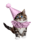 Chat Brun Chapeau Lilas :) - 無料png アニメーションGIF