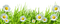 daisies flowers sunshine3 - png gratuito GIF animata