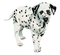 Kaz_Creations Dogs Dog Pup 🐶 - Free PNG Animated GIF