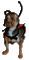 Kaz_Creations Dog Pup - Gratis geanimeerde GIF geanimeerde GIF