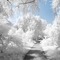 winter  background by nataliplus - gratis png animeret GIF
