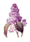 kukka, fleur, flower - Free PNG Animated GIF