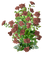 autumn deco kikkapink png brown rose - безплатен png анимиран GIF