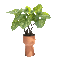 Plants.plante.Deco.Pot.Vase.Victoriabea - Бесплатни анимирани ГИФ анимирани ГИФ