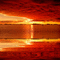 orange background by nataliplus