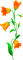 Flowers.Orange - PNG gratuit GIF animé
