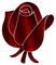 Kaz_Creations Deco Flower Rose - gratis png animeret GIF