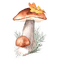 kikkapink deco autumn mushroom - png grátis Gif Animado