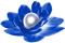 Flower.Pearl.Blue.White - Free PNG Animated GIF