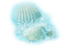 Tube Coquillage - безплатен png анимиран GIF