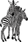 Kaz_Creations Zebra - bezmaksas png animēts GIF