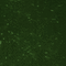 GREEN - Darmowy animowany GIF