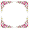 loly33 frame fleur - ilmainen png animoitu GIF