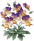 pansy flowers bp - Бесплатный анимированный гифка анимированный гифка