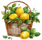 citrons, panier, été, lemons, basket, summer - PNG gratuit GIF animé