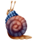 Kaz_Creations Snail Snails - gratis png animerad GIF