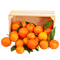 fruit oranges bp - besplatni png animirani GIF