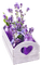 purple flowers, sunshine3 - zadarmo png animovaný GIF