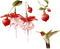 flores  pajaro dubravka4 - Free PNG Animated GIF
