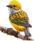 nbl-bird - PNG gratuit GIF animé