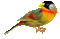 Kaz_Creations Bird Birds - Bezmaksas animēts GIF animēts GIF