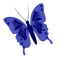 Kaz_Creations Deco Butterfly Colours - png grátis Gif Animado
