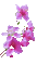цветы - 無料のアニメーション GIF アニメーションGIF