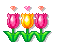 Alice in Wonderland Flowers - Darmowy animowany GIF animowany gif