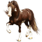 Horse - PNG gratuit GIF animé