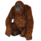 monkey bp - darmowe png animowany gif