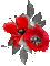 soave deco flowers poppy red black white animated