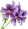 Blumen - kostenlos png Animiertes GIF