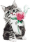 soave cat animals deco flowers rose black white - безплатен png анимиран GIF