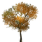 Autumn Tree - darmowe png animowany gif