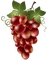 patricia87 fruit - δωρεάν png κινούμενο GIF